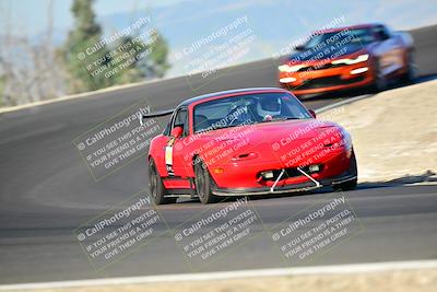 media/Mar-01-2025-Turn8 Trackdays (Sat) [[3bac13d0ad]]/Inter 3/Session 1 (Turns 2 and 3)/